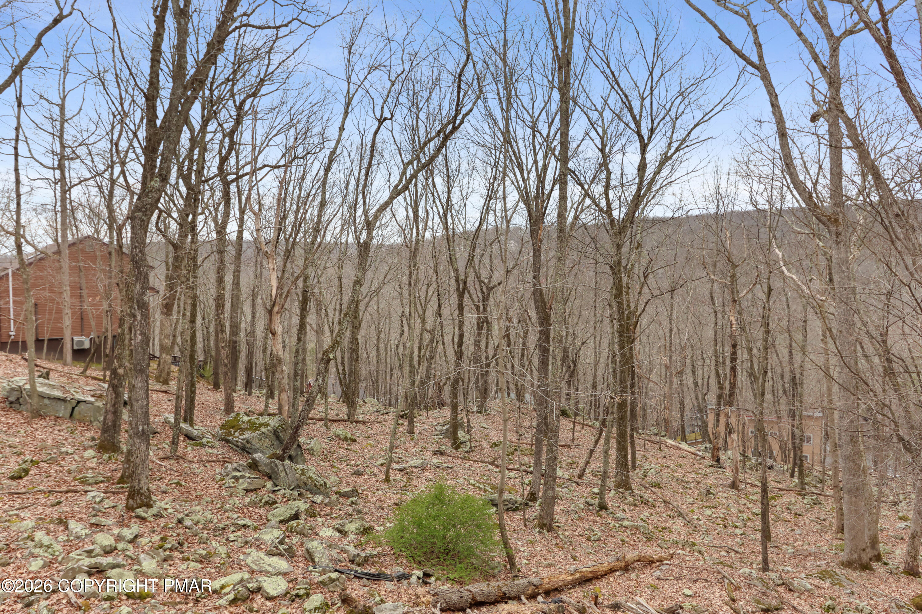 1007 Hampstead Road Bushkill, PA 18324 - Photo 46 of 69 095A9758