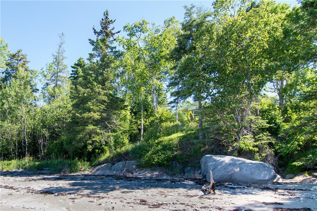 325 Ficketts Point Road Milbridge, ME 04658 - Photo 4 of 35 Looking at the house from the beach.