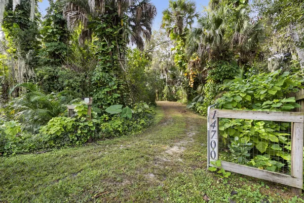a view of a yard