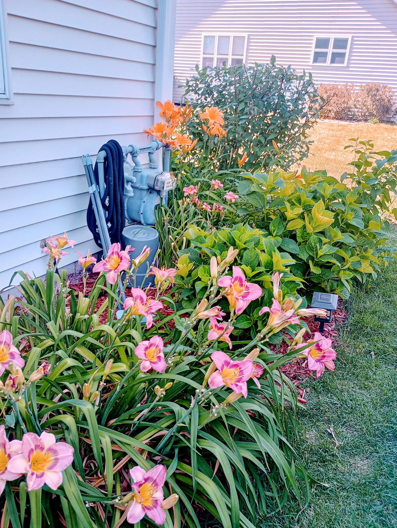 649 Berkley Drive Romeoville, IL 60446 - Photo 30 of 31