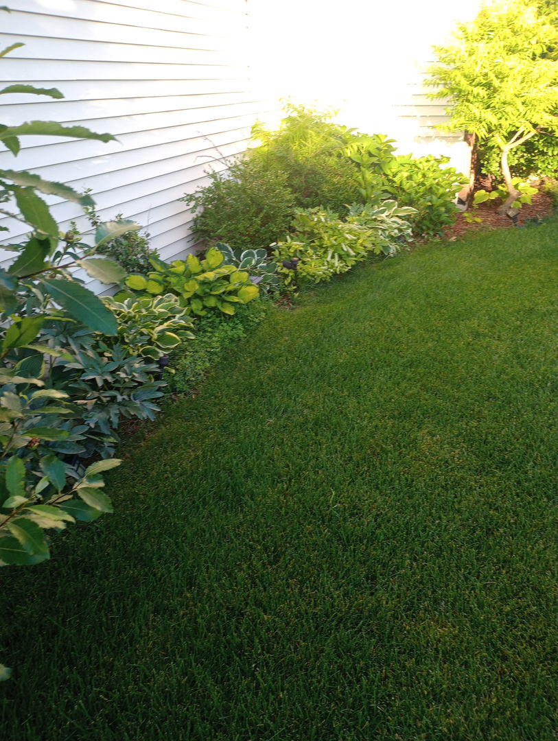 649 Berkley Drive Romeoville, IL 60446 - Photo 31 of 31