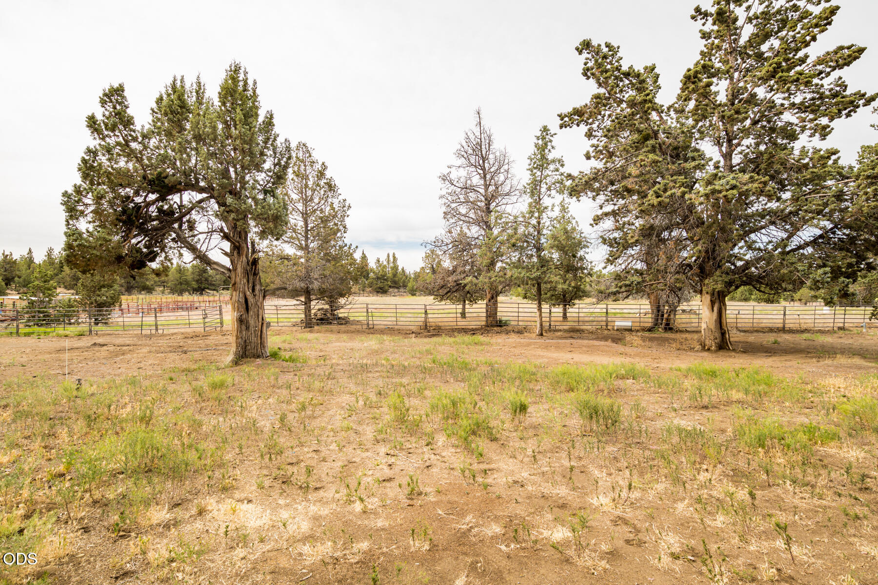 22305 Neff Road Bend, OR 97701 - Photo 42 of 55