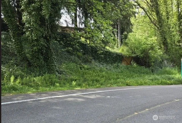 a view of a yard and a road