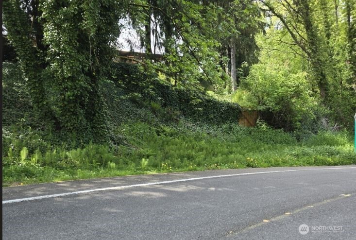 a view of a yard and a road