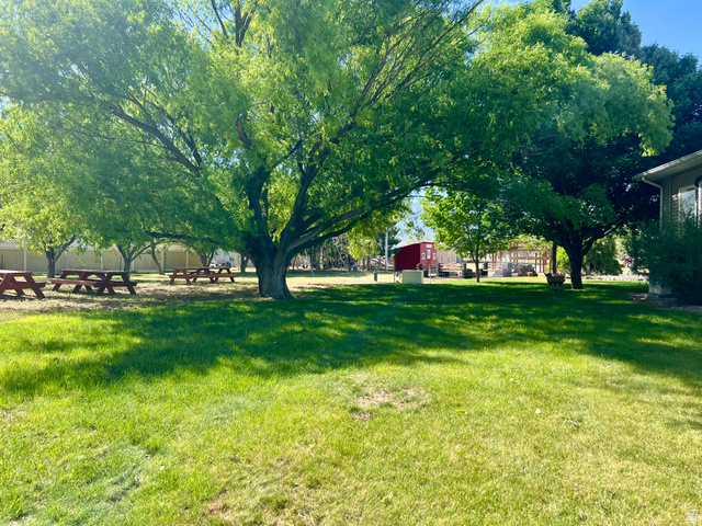 812 East Bates Cyn Road Tooele, UT 84074 - Photo 95 of 144 Expansive grassy yard with mature trees, a red outbuilding, and multiple picnic tables