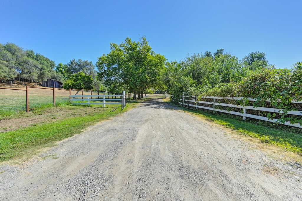 1200 Gold Hill Road Newcastle, CA 95658 - Photo 5 of 96 a view of a park with large trees
