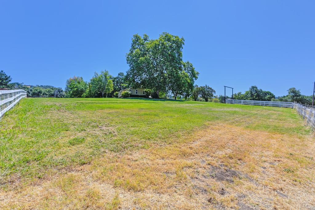 1200 Gold Hill Road Newcastle, CA 95658 - Photo 55 of 96 a view of a big yard with an trees