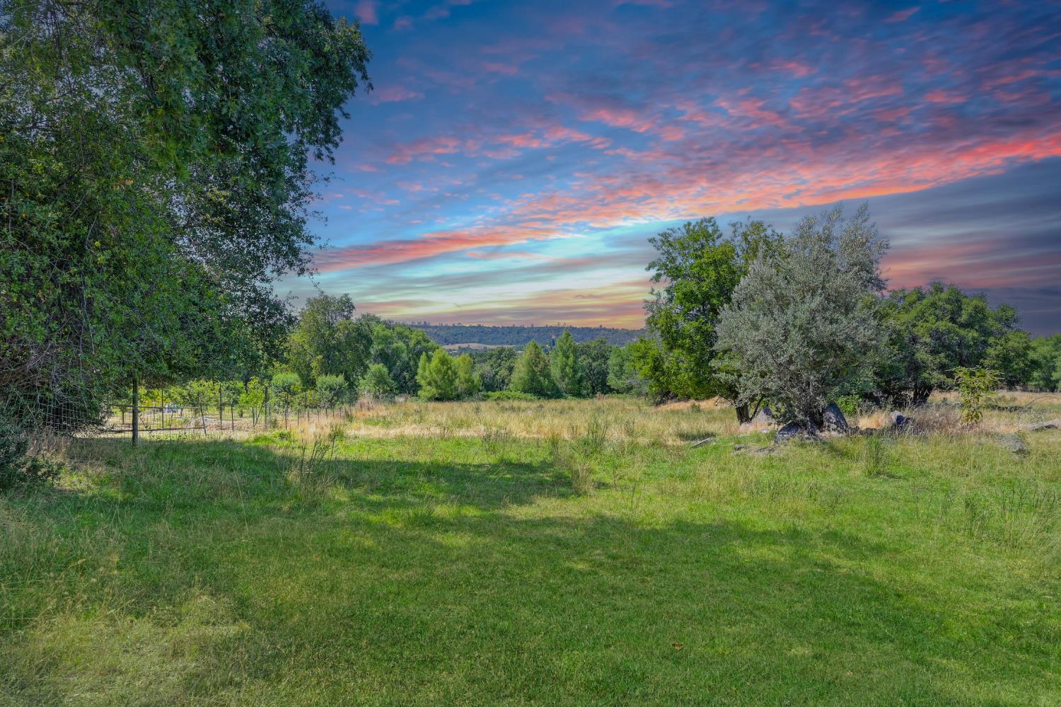 1200 Gold Hill Road Newcastle, CA 95658 - Photo 78 of 96 a backyard of a house with lots of green space and lake view