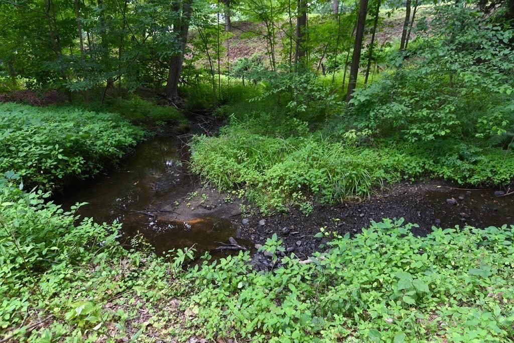 372 North Farms Road Northampton, MA 01062 - Photo 38 of 40