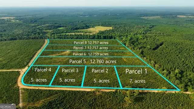 $39,000 | Parcel 2 Whipporwill Road, Reynolds, GA 31076