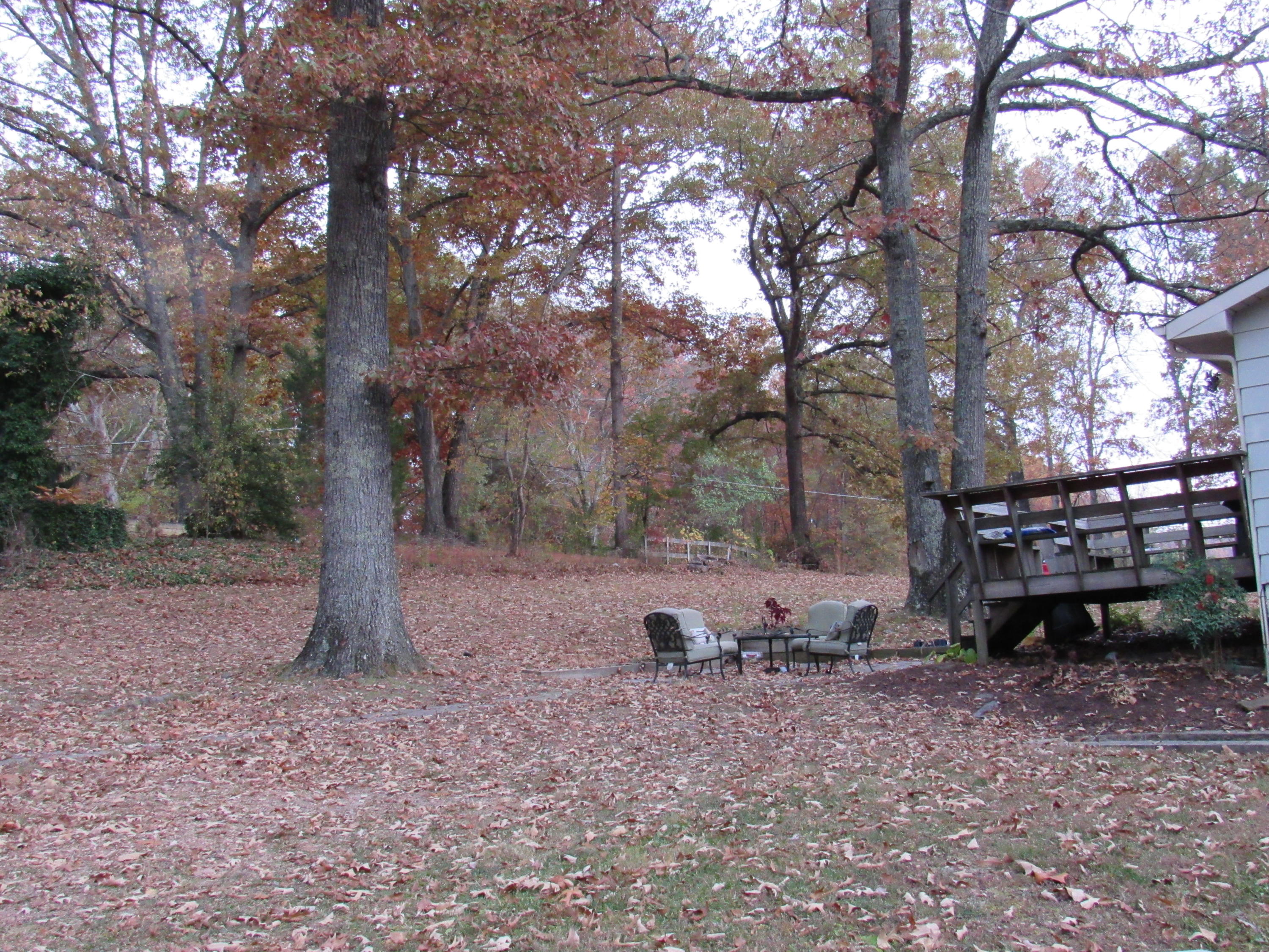 208 Rock Bridge Road Harriman, TN 37748 - Photo 18 of 18 IMG_0097