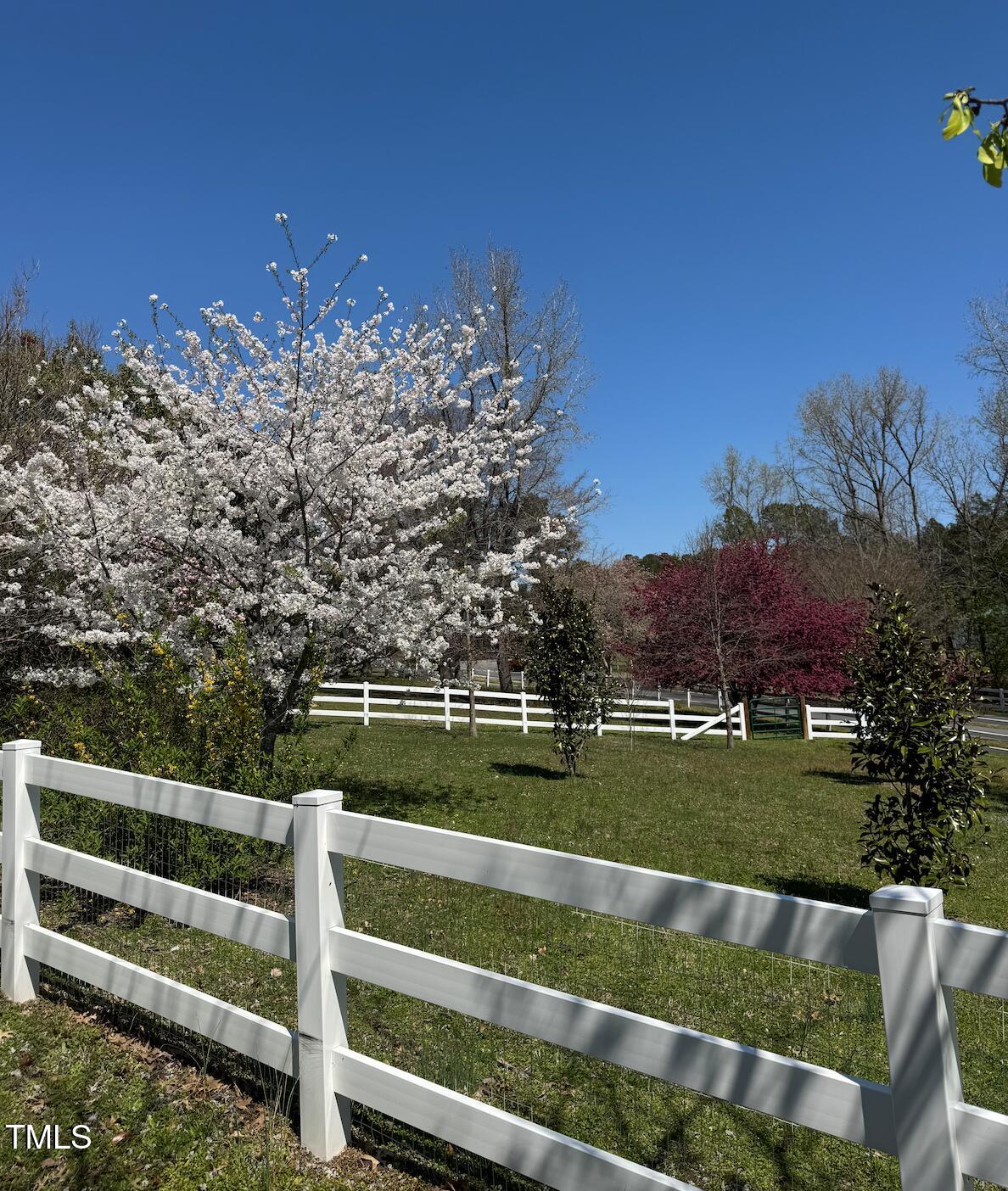 40 Farrells Creek Road Apex, NC 27523 - Photo 10 of 67 Screenshot 2025-04-10 at 8.31.23 PM