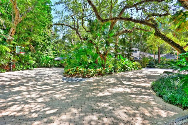 a view of a street with a tree