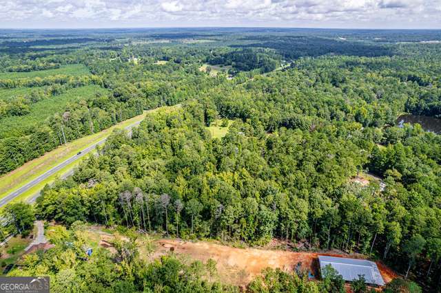 0 Braswell Lake Road Gray, GA 31032 - Photo 10 of 15