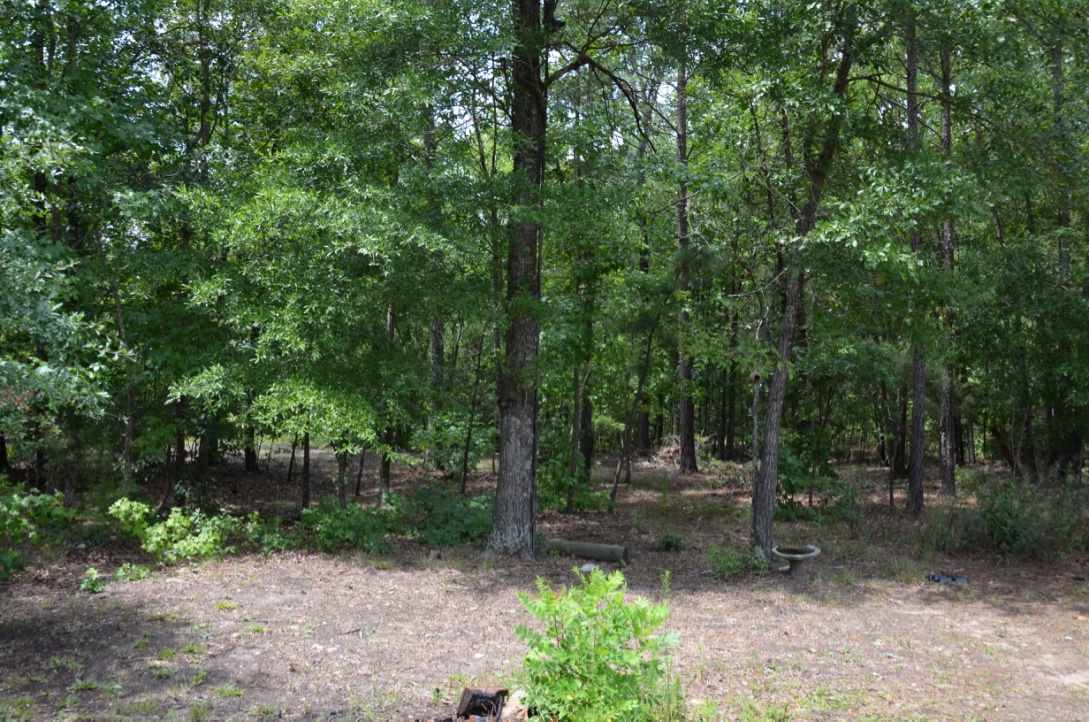 3030 State Rd S-44-24 Carlisle, SC 29031 - Photo 20 of 23 Gallery Image 20