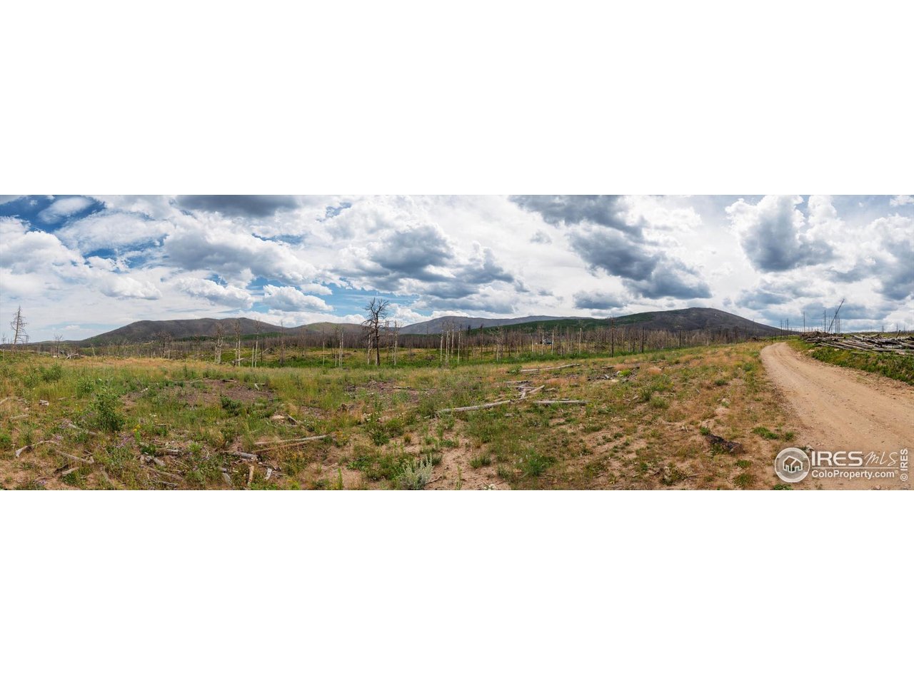 529 Quartz Road Bellvue, CO 80512 - Photo 13 of 31 a view of lake