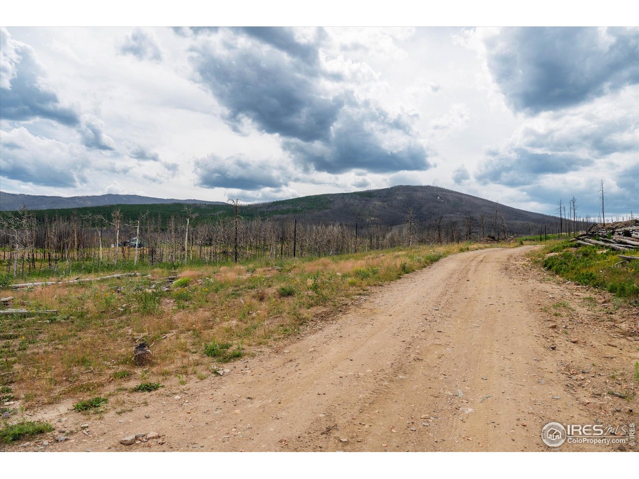 529 Quartz Road Bellvue, CO 80512 - Photo 14 of 31 a view of a lake with a big yard