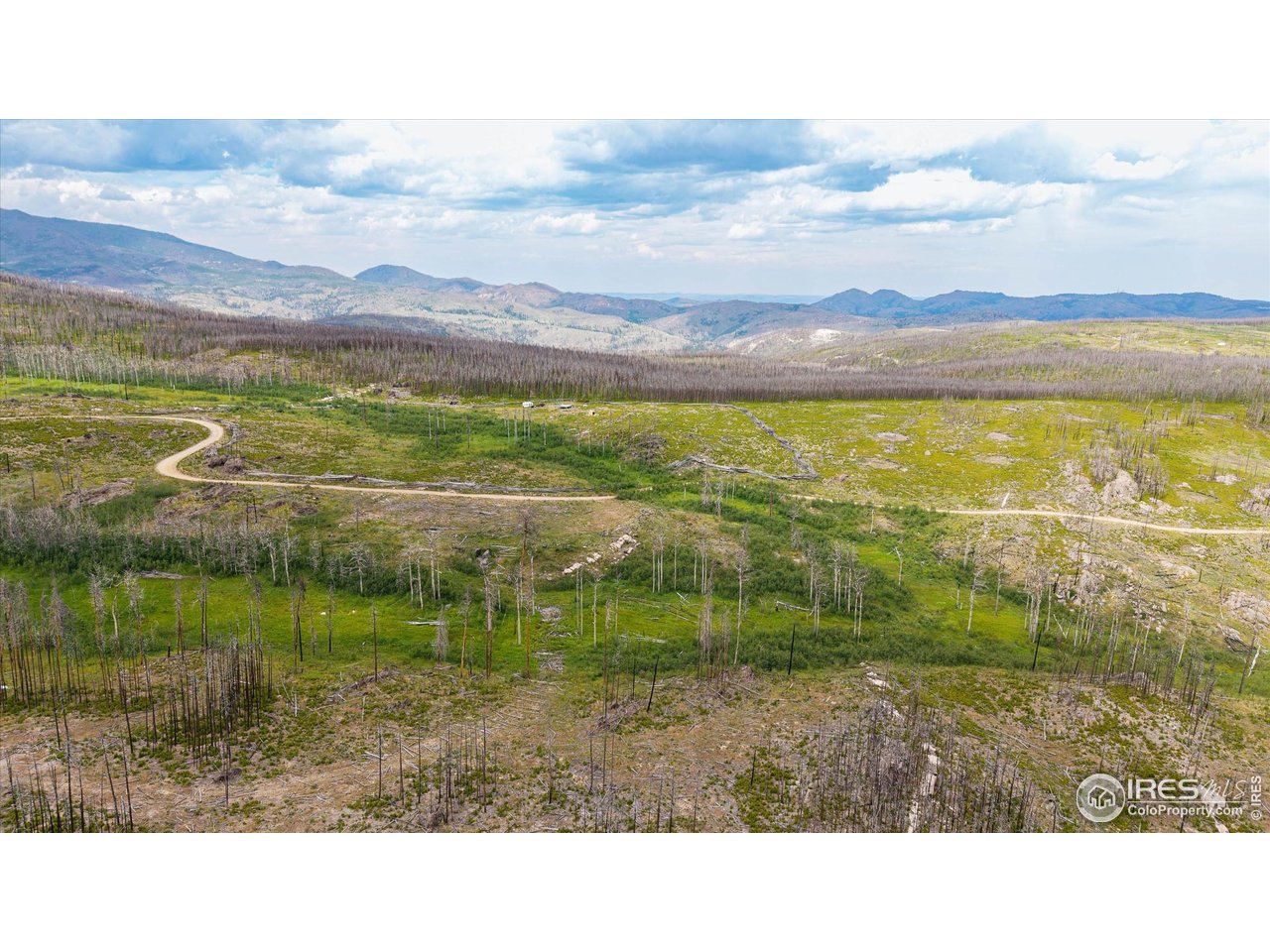 529 Quartz Road Bellvue, CO 80512 - Photo 26 of 31 a view of an outdoor space and mountain view