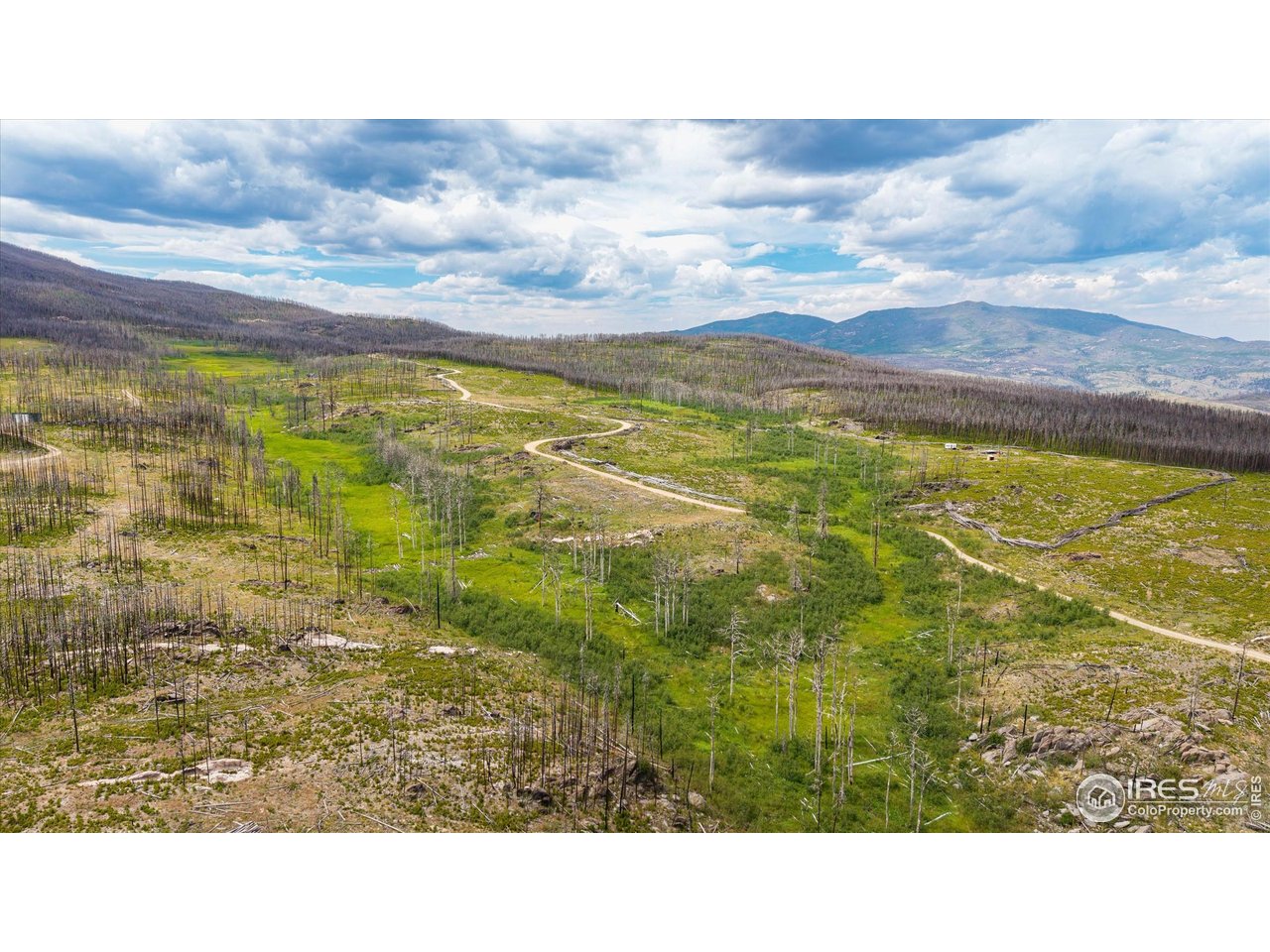 529 Quartz Road Bellvue, CO 80512 - Photo 28 of 31 a view of an ocean
