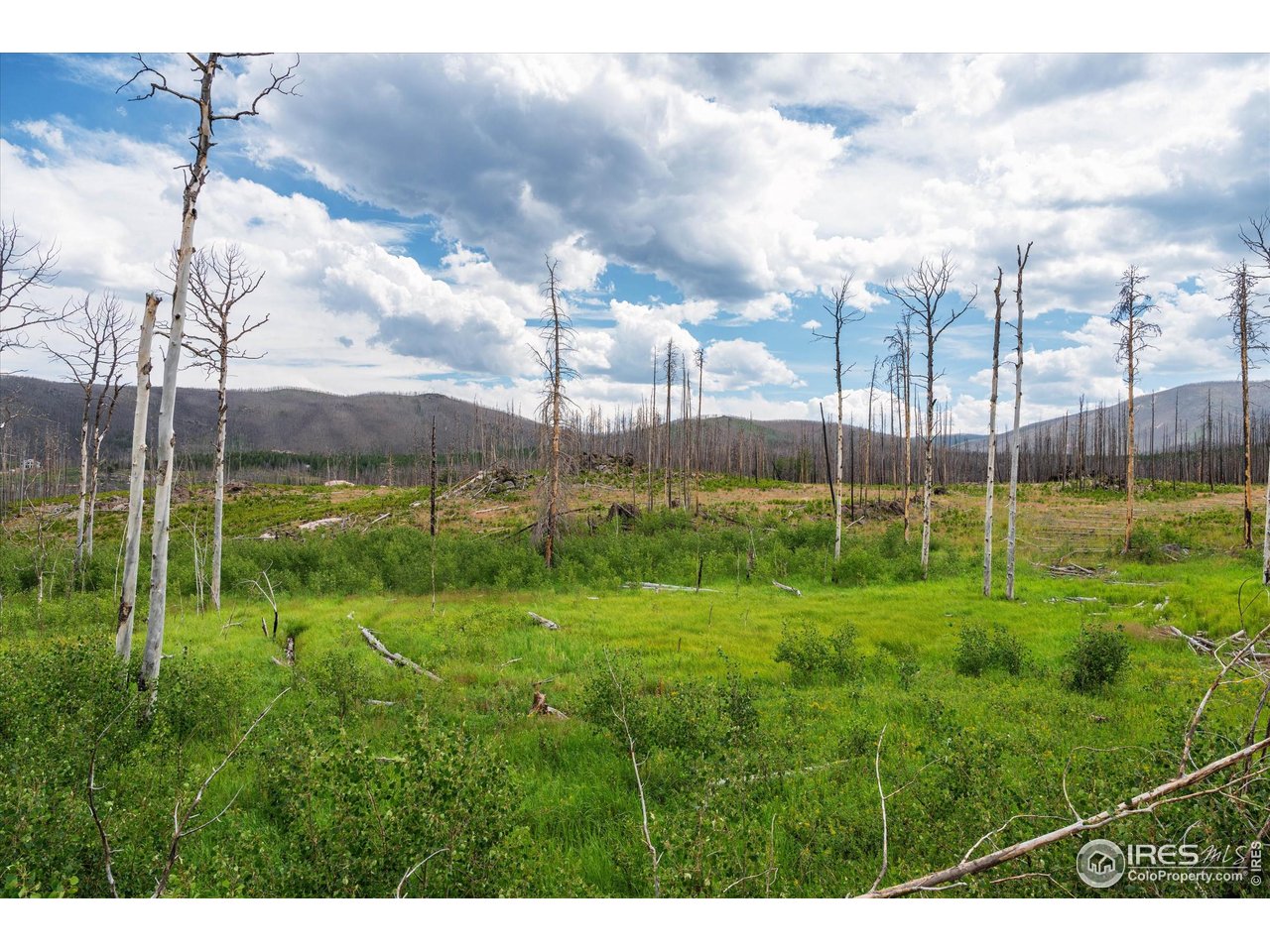 529 Quartz Road Bellvue, CO 80512 - Photo 6 of 31 a view of a park