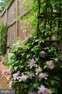 $1,750,000 | 1755 Upshur Street Northwest, Washington, DC 20011