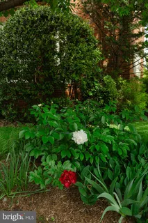 $1,750,000 | 1755 Upshur Street Northwest, Washington, DC 20011