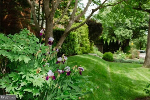 $1,750,000 | 1755 Upshur Street Northwest, Washington, DC 20011