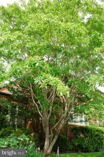 $1,750,000 | 1755 Upshur Street Northwest, Washington, DC 20011