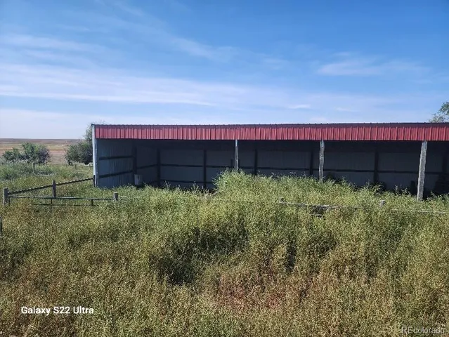 a view of a small garden