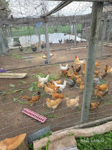 a sign that is sitting on the side of a road