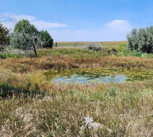 a view of a field with an ocean