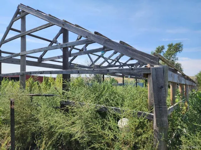 a view of a yard and an plants