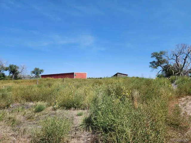 a view of a field with an ocean and trees in the background