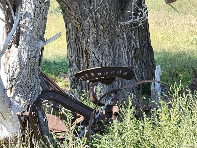 a view of a lush green space