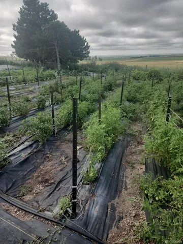 a view of a wooden bench sitting in the middle of a yard