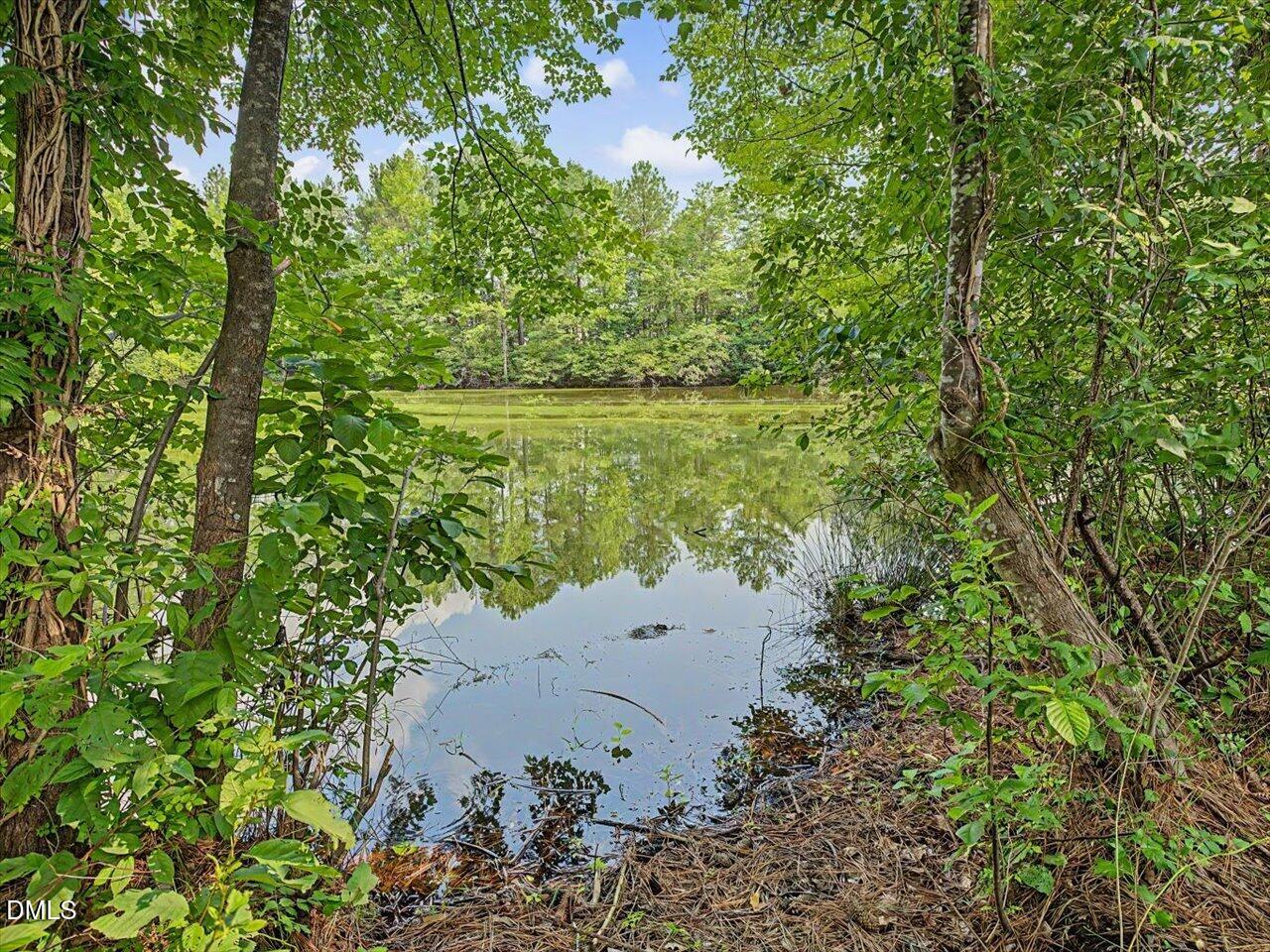 4344 Prairie Creek Trail Raleigh, NC 27616 - Photo 43 of 51 77-Pond