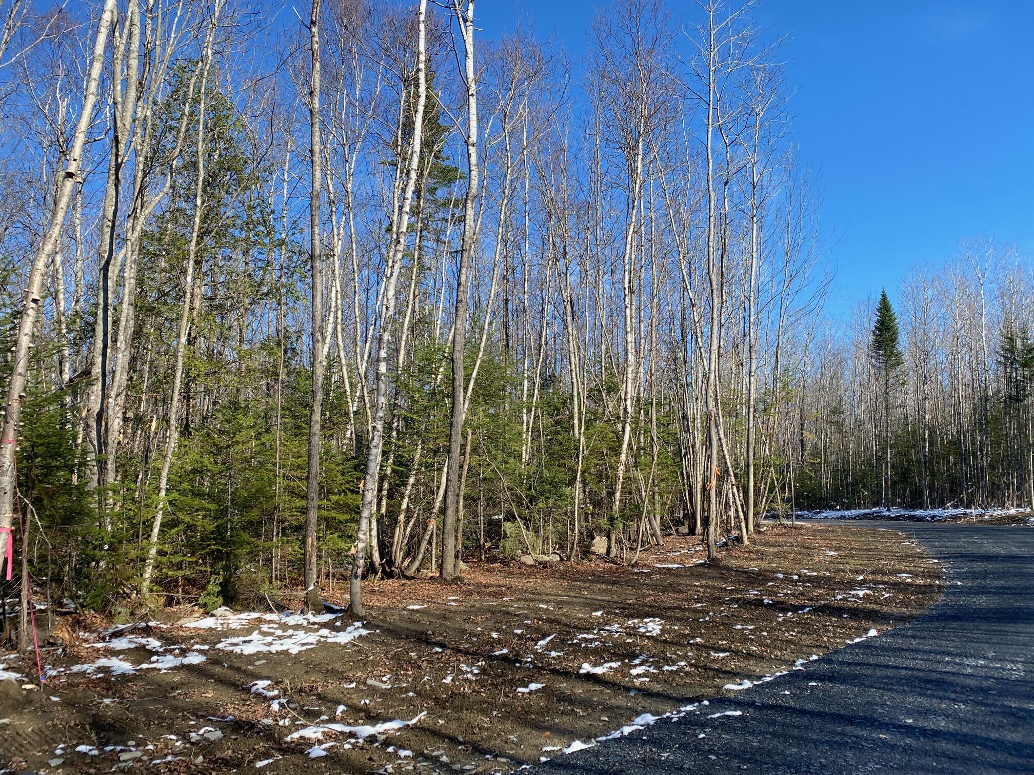 6 Tumbledown Lane Greenville, ME 04441 - Photo 13 of 18 IMG_9203