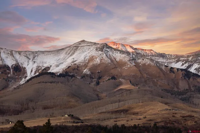 a view of outdoor space with garden