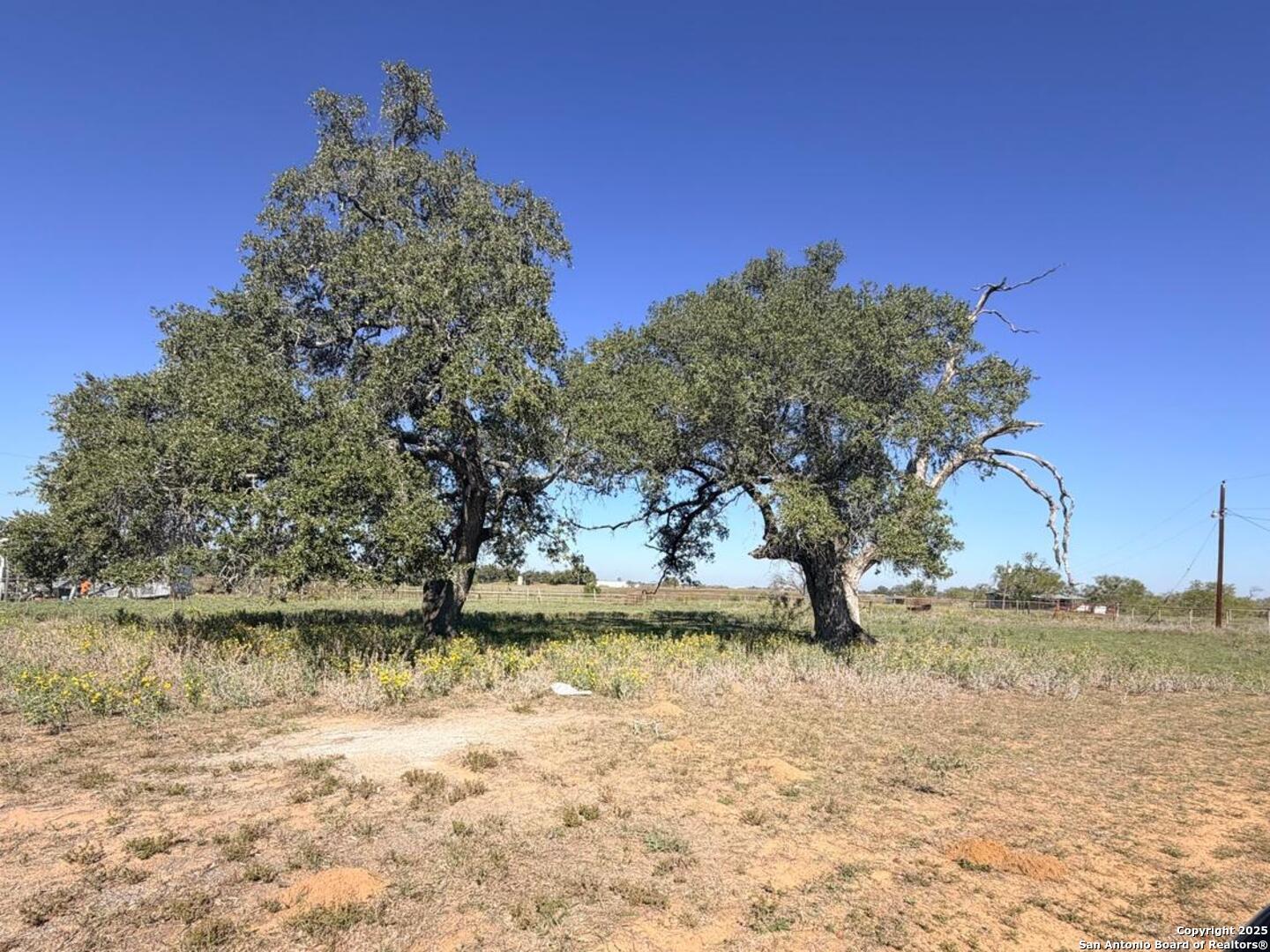 2880 2nd Street Pleasanton, TX 78064 - Photo 14 of 32 a view of a lake with a yard