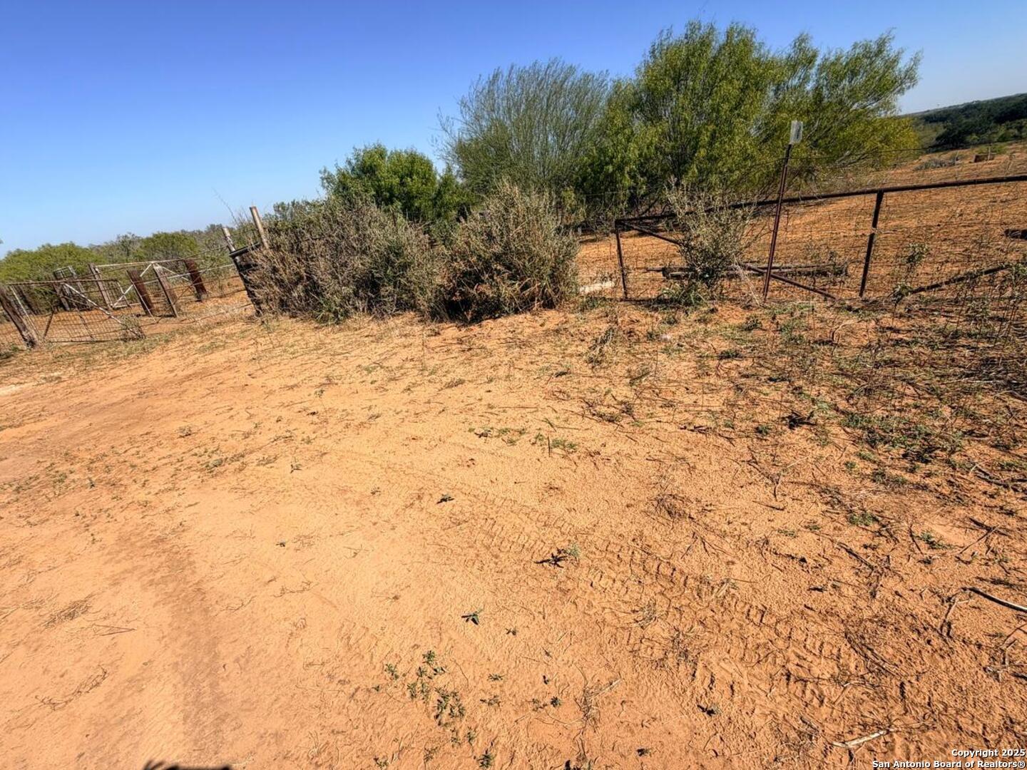 2880 2nd Street Pleasanton, TX 78064 - Photo 17 of 32 a view of a yard with a tree