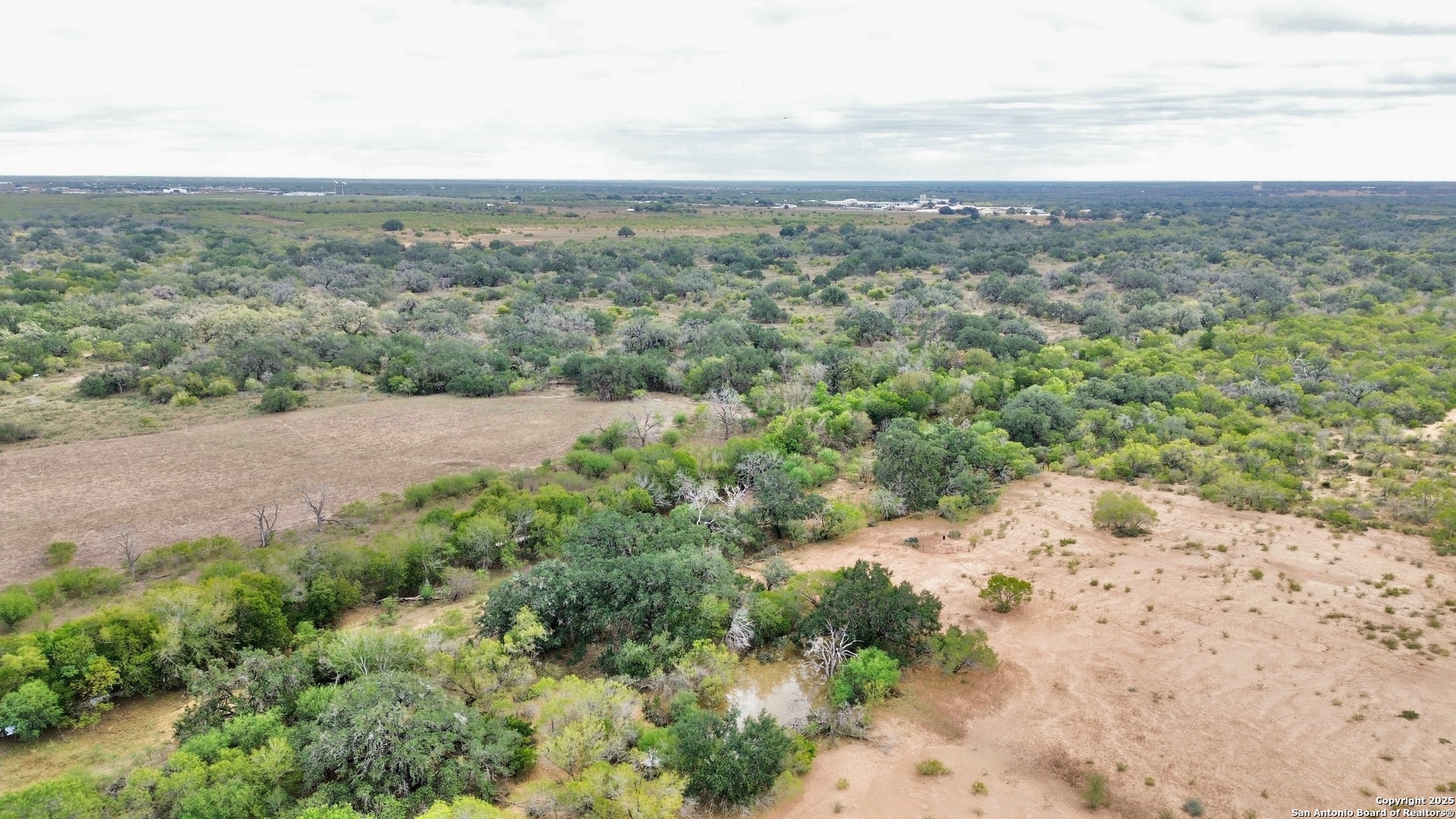 2880 2nd Street Pleasanton, TX 78064 - Photo 26 of 32 a view of a dry yard with green space