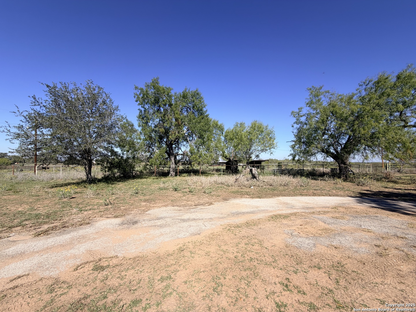 2880 2nd Street Pleasanton, TX 78064 - Photo 4 of 32 a view of yard with trees