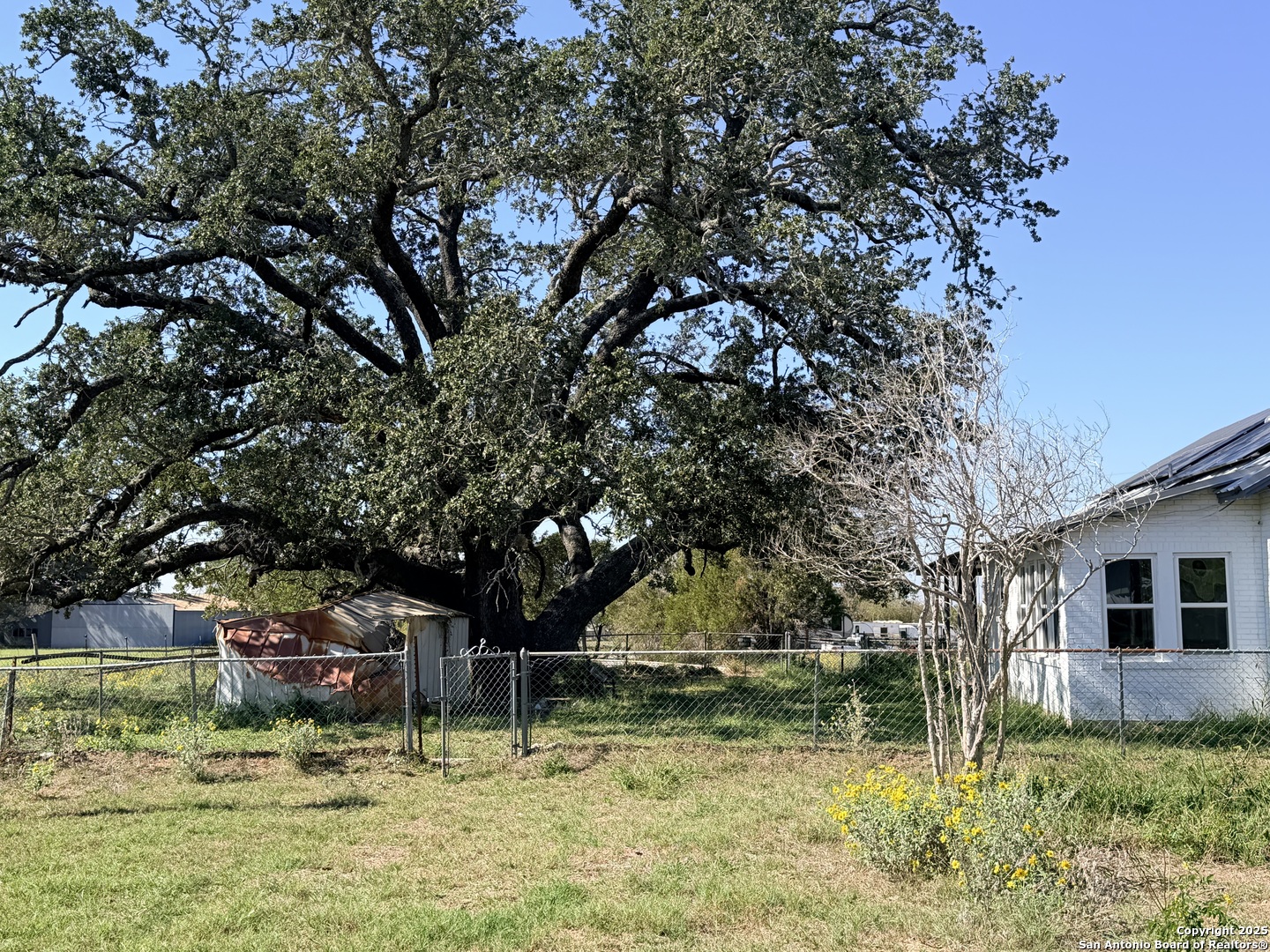 2880 2nd Street Pleasanton, TX 78064 - Photo 7 of 32 a backyard of a house with swimming pool and tree