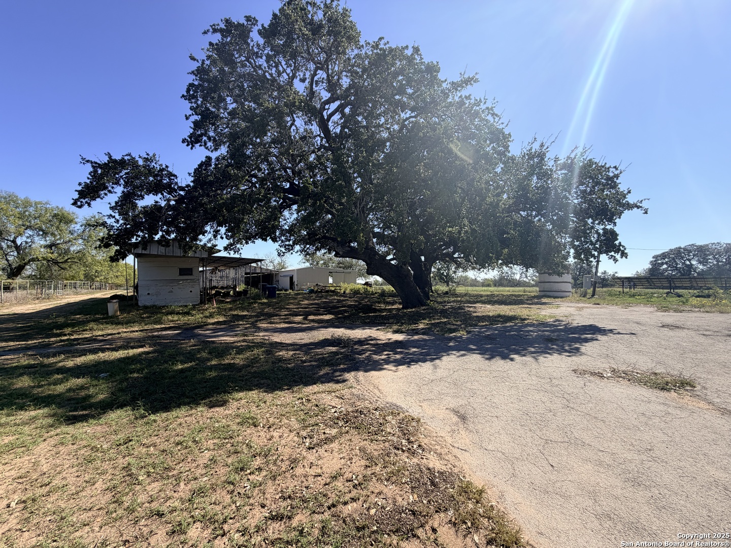 2880 2nd Street Pleasanton, TX 78064 - Photo 10 of 32 a view of a yard with a tree