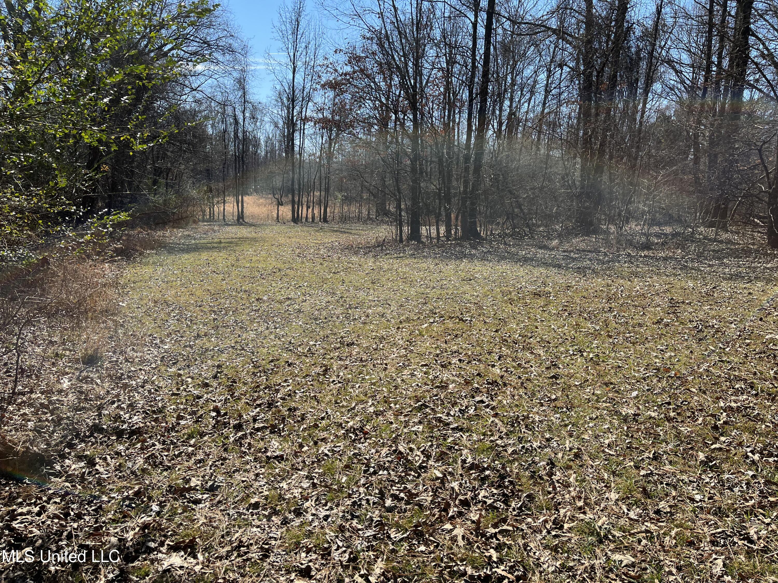 4185 Fogg Road South Hernando, MS 38632 - Photo 10 of 11 IMG_2079