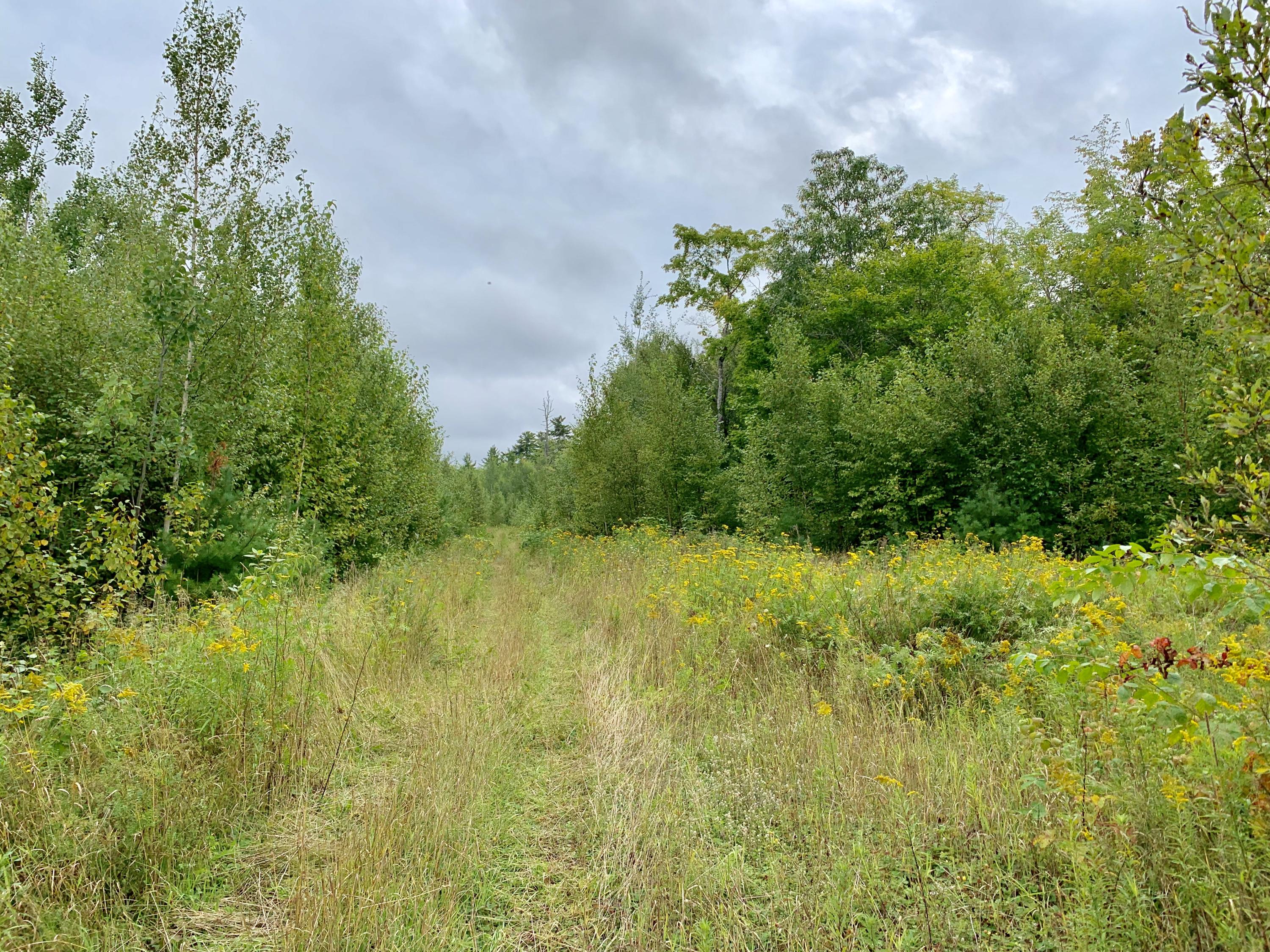 0 Merryman Road Glenburn, ME 04401 - Photo 37 of 53 96C13E24-C41C-4E44-914B-6768B76BBB5C