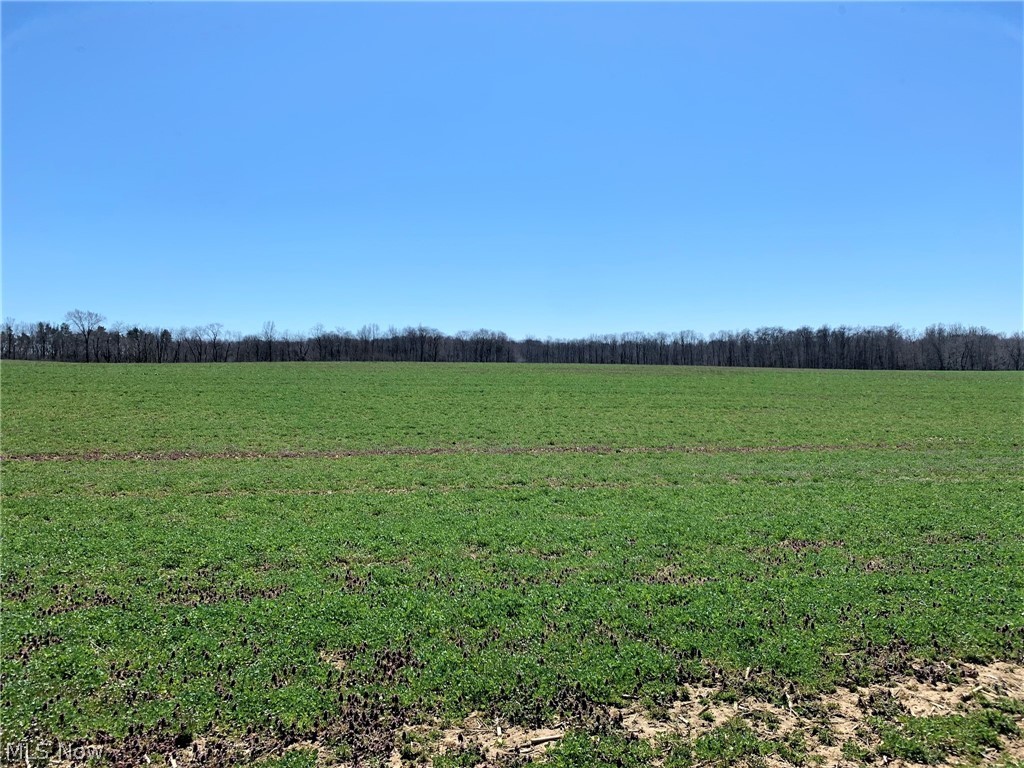 2 Greenwich Road Seville, OH 44273 - Photo 5 of 17 Gallery Image 5