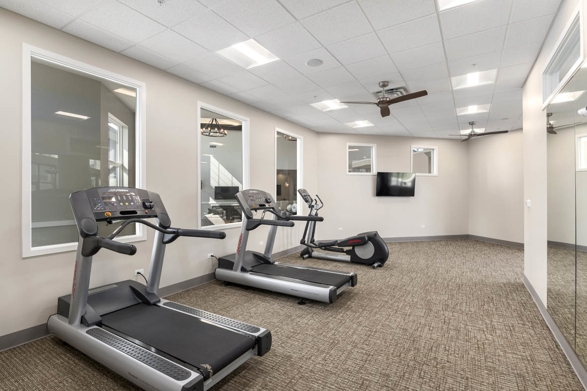 303 Ridley Street North Aurora, IL 60542 - Photo 23 of 36 a room with gym equipment and a large mirror