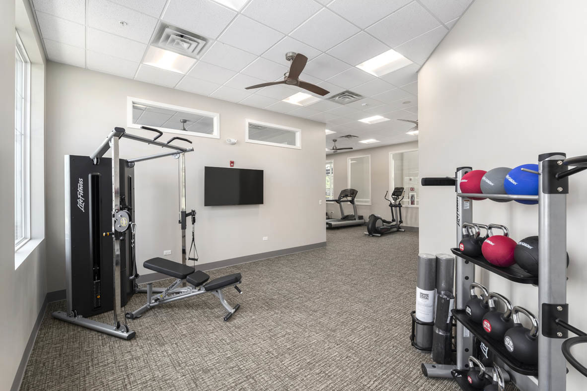303 Ridley Street North Aurora, IL 60542 - Photo 24 of 36 a view of a room with gym equipment