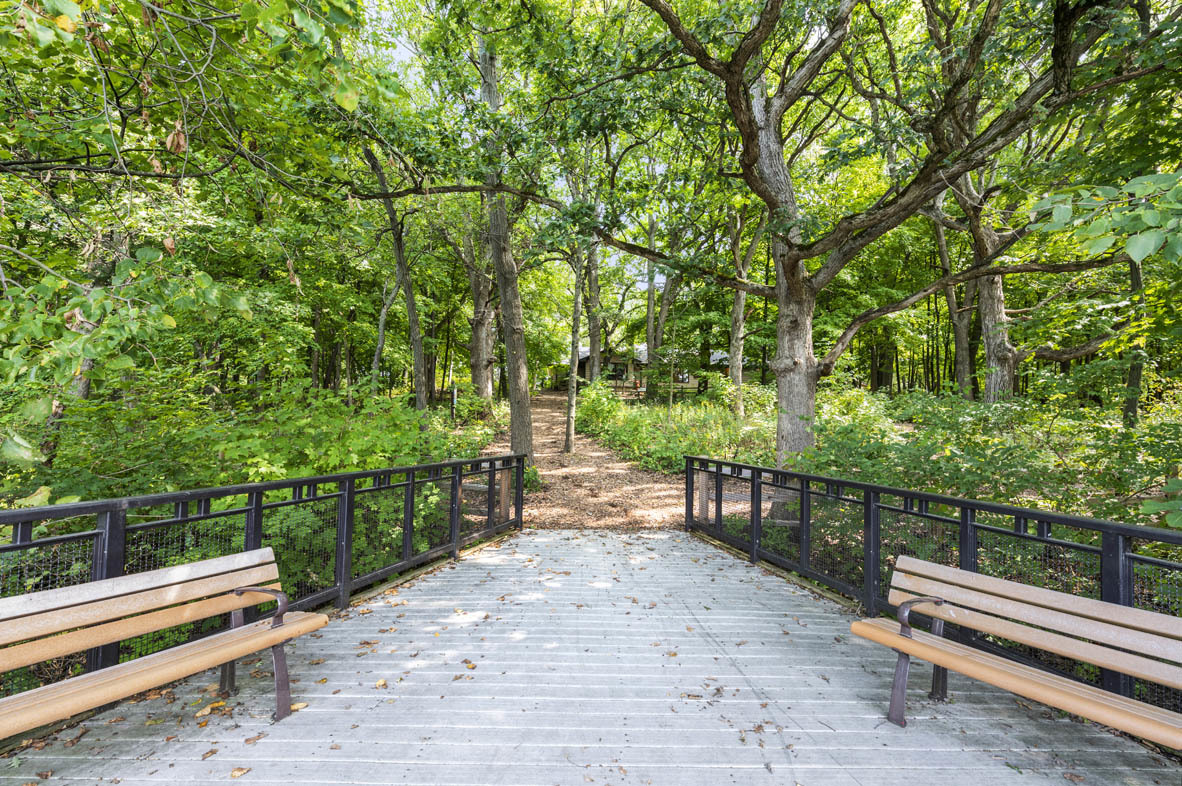 303 Ridley Street North Aurora, IL 60542 - Photo 32 of 36 a view of a bench in a backyard